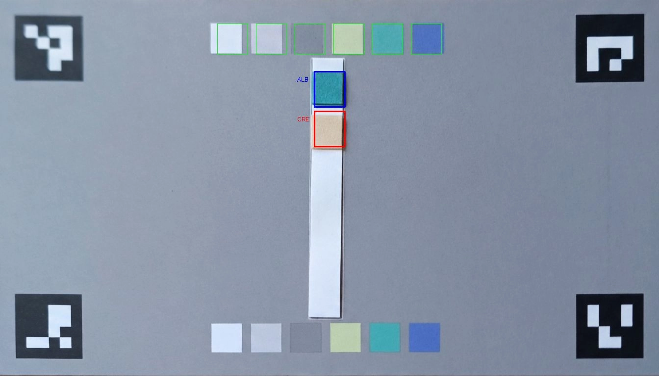 דגימת צבעים