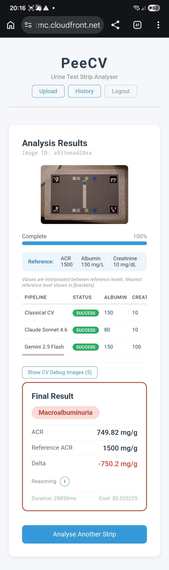 מסלולי זיהוי שונים